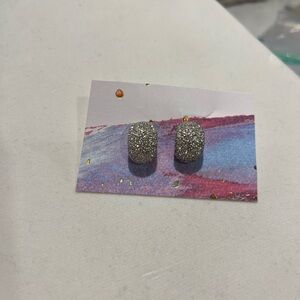 Sparkling Silver Stud Earrings